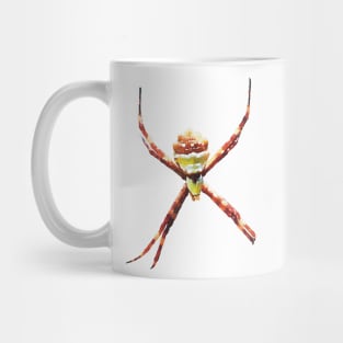 Silver Garden Orbweaver Spider Mug